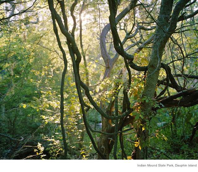 Indian Mound State Park, Dauphin Island