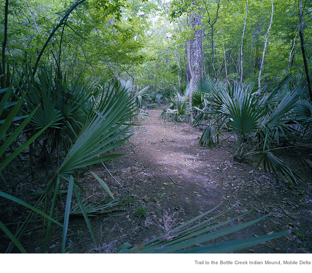 Trail to the Bottle Creek Indian Mound, Mobile Delta