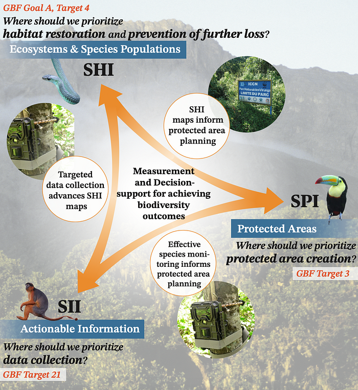 Synergies among the three biodiversity indicators. GBF Goal A, Target 4. Where should we prioritize habitat restoration and prevention of further loss? Ecosystems in and Species Populations. SHI. Arrow to next section. SHI maps inform protected area planning. SPI. Protected Areas. Where should we prioritize protected area creation? GBF Target 3. Arrow to next section. Effective species monitoring informs protected area planning. SII. Actionable Information. Where should we prioritize data collection? GBF target 21. Arrow back to SHI. Targeted data collection advances SHI maps. In the middle of the triangle it reads measurement and decision-support for achieving biodiversity outcomes. 