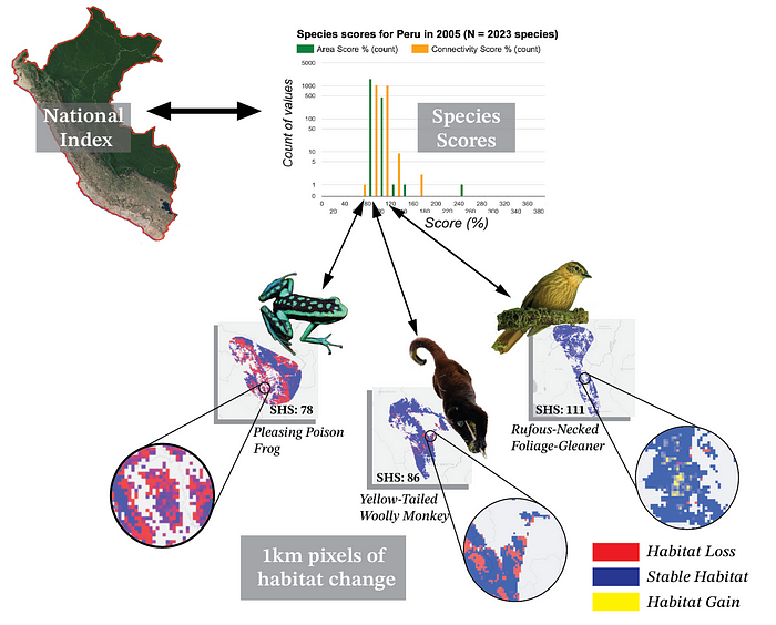 The cross-scale capacity of the biodiversity indicators, from aggregated national metrics to 1-kilometer pixels.