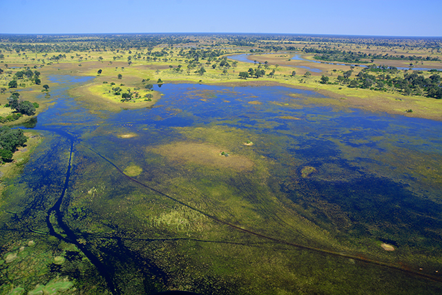 Image of a marsh.