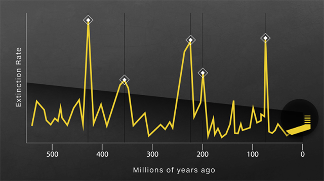 Image of a chart showing extinction rate and how long ago. 