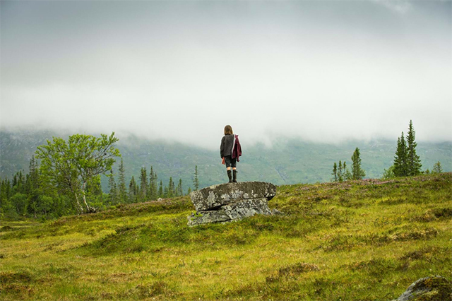 Image of a person overlooking the grass while it's foggy out.