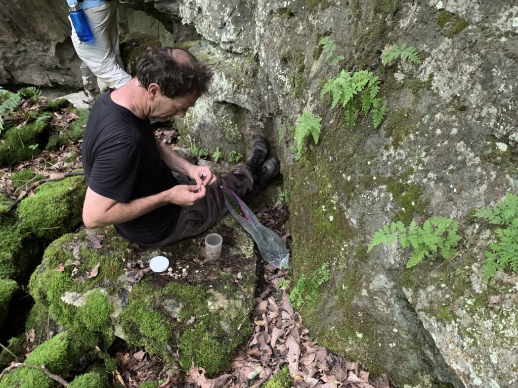 Image of someone Collecting species from a rock ledge on Big Coon Farm.
