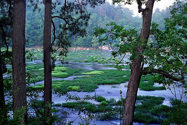 Image of the Catawba River in Alabama.