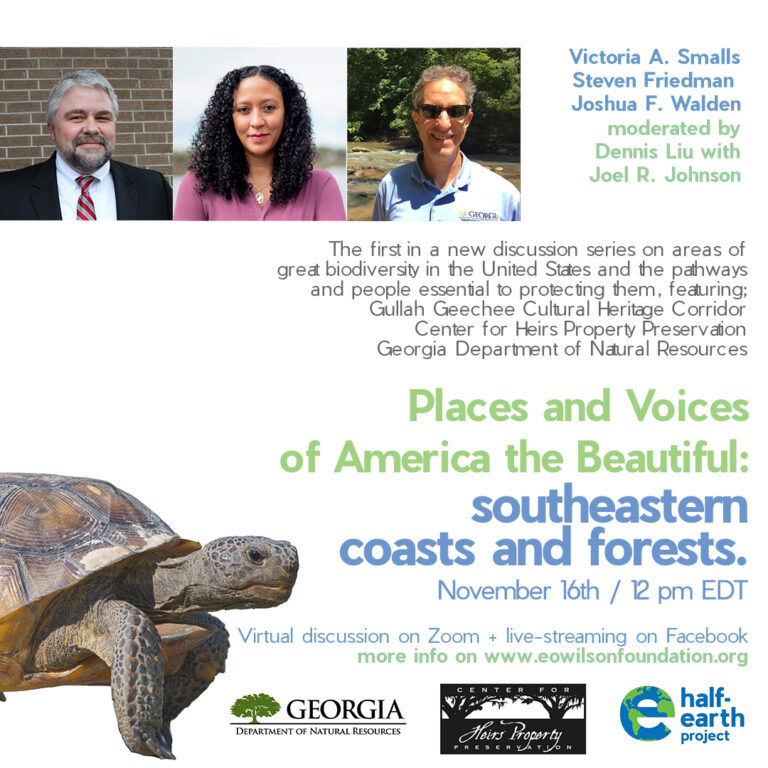 Headshots of Victoria A. Smalls, Steven Friedman and Joshua F. Walden. Text that says "moderated by Dennis Liu with Joel R. Johnson. The first in a new discussion series on areas of great biodiversity in the United States and the pathways and people essential to protecting them, featuring; Gullah Geechee Cultural Heritage Corridor Center for Heirs Property Preservation Georgia Department of Natural Resources. Places and Voices of America the Beautiful: southeastern coasts and forests. November 16th/ 12pm EDT. Virtual discussion on Zoom + live-streaming on Facebook. More info on www.eowilsonfoundation.org." logos of Georgia Department of Natural Resources, Center for Heirs Property Preservation and Half-Earth Project.  