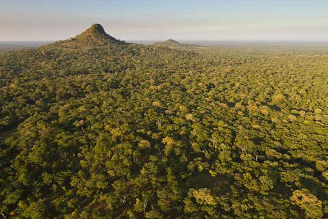 Image of Mozambique.