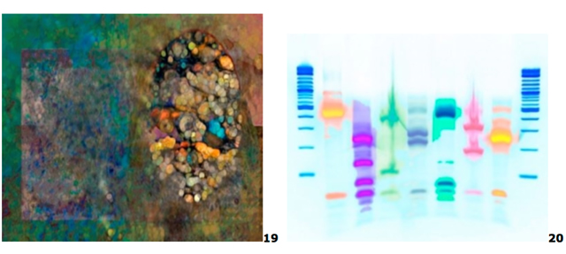 Two images of (19) Elizabeth Bajbor’s artwork, Life, emanates from her biological perspective that all life forms are “data storage systems” whose evolved genes can benefit future generations.

(20) Dash Masland’s photograph, It’s a Microbial Matter, prods us to see DNA’s beauty, as well as the crucial role microbes play in conserving our planet’s interconnected web of life.