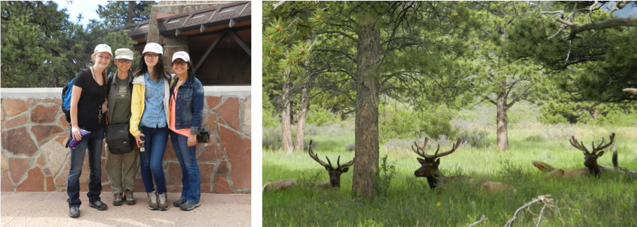 An image of 4 women standing outside. An image of 3 elk in the wild. 