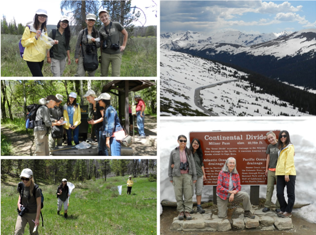 Collage of girls hiking and exploring. 