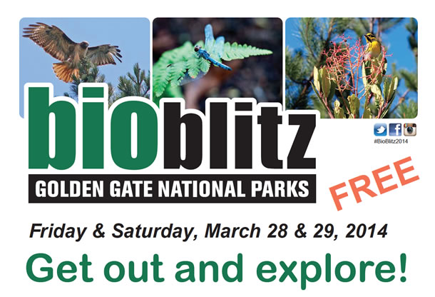 Flyer for the BioBlitz Golden Gate National Park on March 28 and 29, 2014.