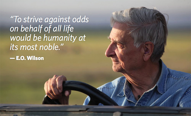Image of E.O. Wilson with the text "To strive against odds on behalf of all life would be humanity at its most noble." by E.O. Wilson.