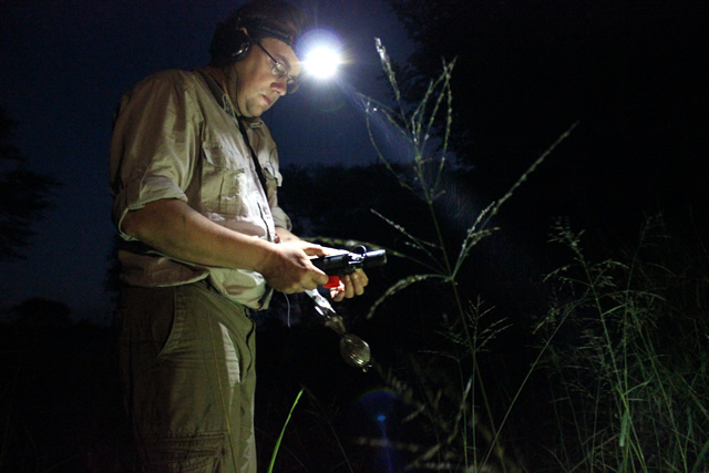 Image of Piotr Naskrecki gathering insects at night.