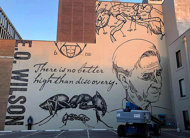 Image of a mural in Mobile, Alabama of E.O. Wilson.