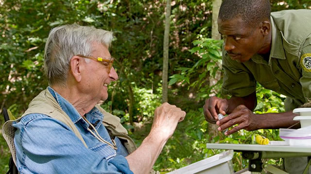 A picture of E.O. Wilson with another staff member in the forest. 