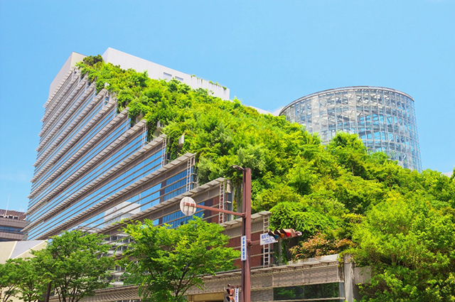 Image of a building with trees on it. 