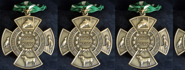 Image of three medals. 