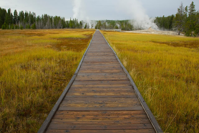 Path to Yellowstone.