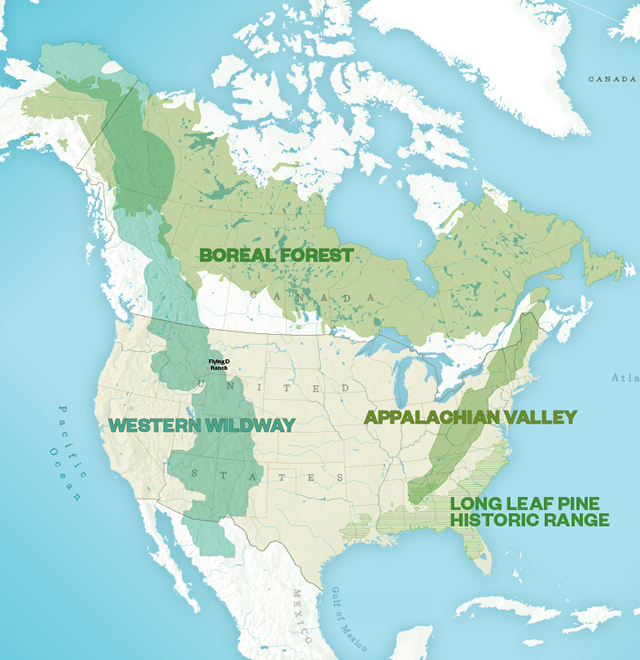 Map of America divided into Boreal Forest, Western Wildway, Appalachian Valley and Long Leaf Pine Historic Range. 