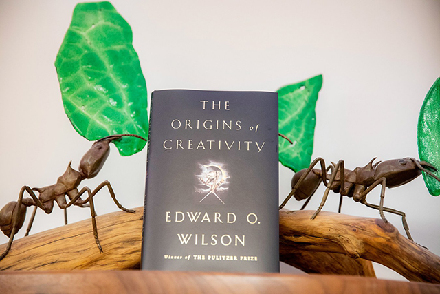 Book cover of The Origins of Creativity with ants beside it.