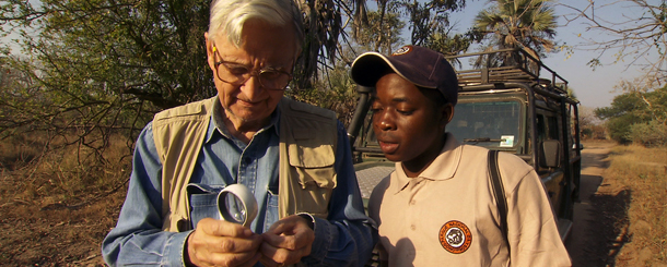 Image of E.O. Wilson and another man studying something.