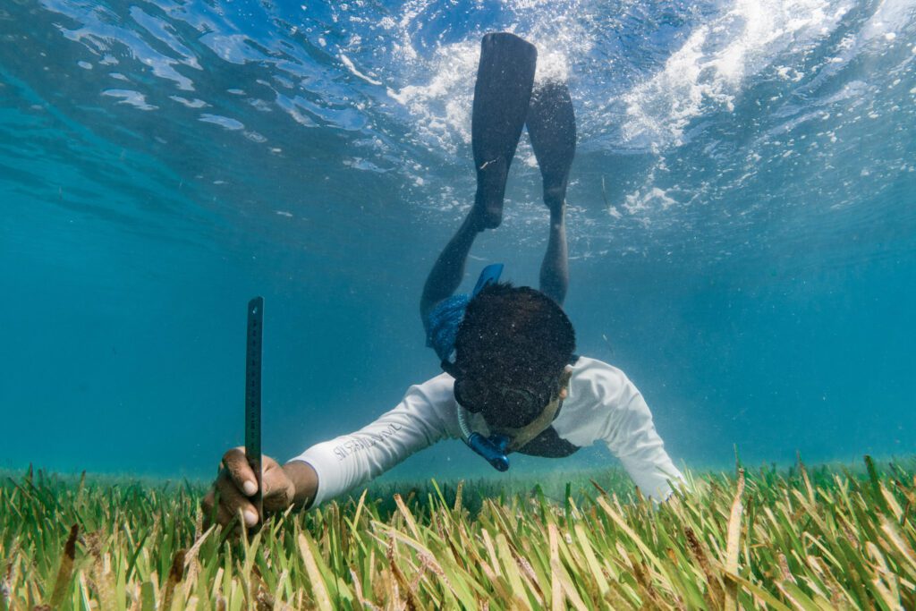 Man measuring underwater grass. 
