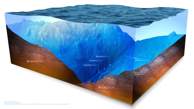 Diorama of the Challenger Deep.