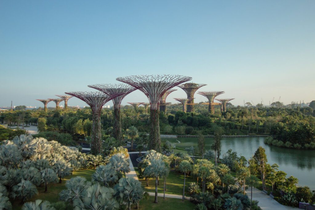 Supertrees at the Gardens by the Bay, Singapore.