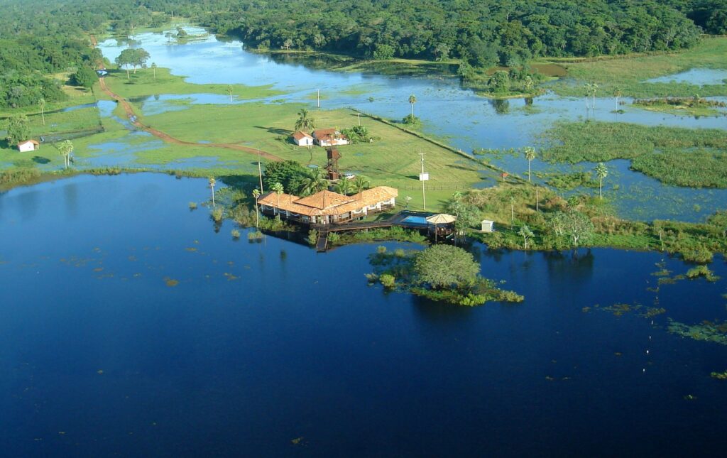 Overhead view of water and marsh.