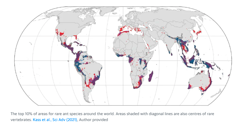 The top 10% of areas for rare ant species around the world. Areas shaded with diagonal lines are also centers of rare vertebrates. Kass et al., Sci Adv (2021). Author provided.