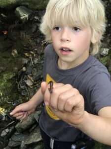 Image of a child holding a worm.