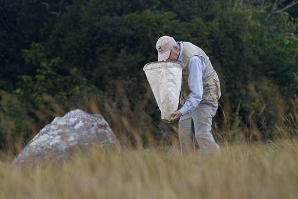 Image of E.O. Wilson looking in a net.