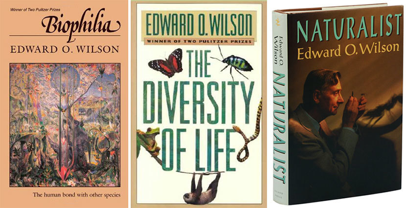 E.O. Wilson's books lined up.
