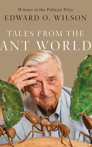 Book cover of Tales From the Ant World by Edward O. Wilson.