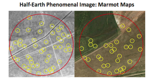 Half-Earth Phenomenal Image: Marmot Maps.