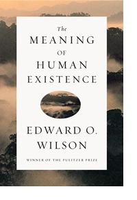Book cover of The Meaning of Human Existence by Edward. O. Wilson.