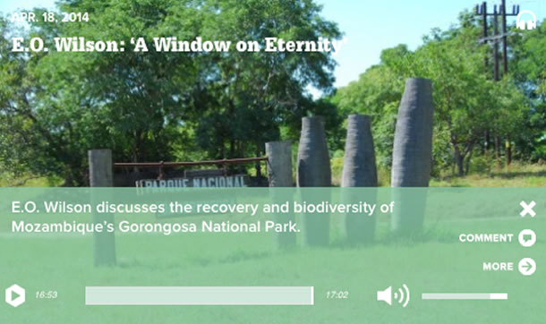 Screenshot of a podcast episode for E.O. Wilson discusses the recovery and biodiversity of Mozambique's Gorongosa National Park.