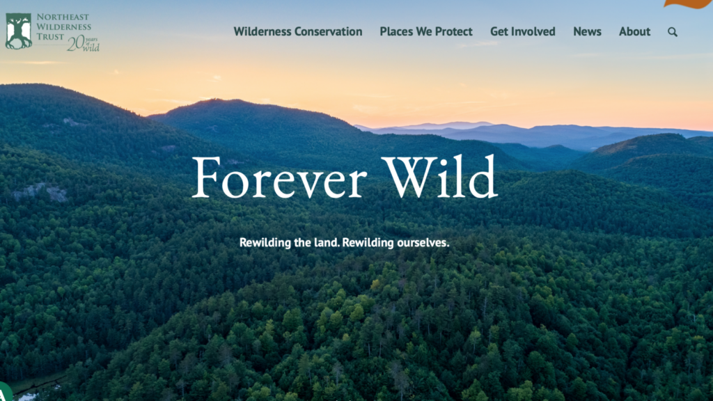 Northeast wilderness trust homepage. 