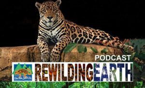Rewilding Earth Podcast Logo
