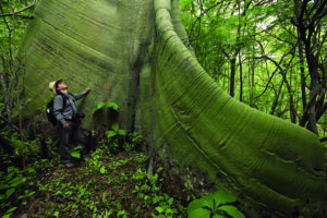 Image of a man standing next to a large tree.