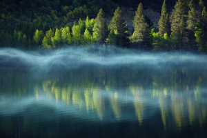 Image of trees reflecting in the water.