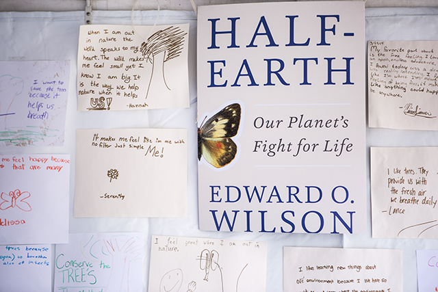 Image of kid's drawings around the Half-Earth Our Planet's Fight for Life by E.O. Wilson book cover.