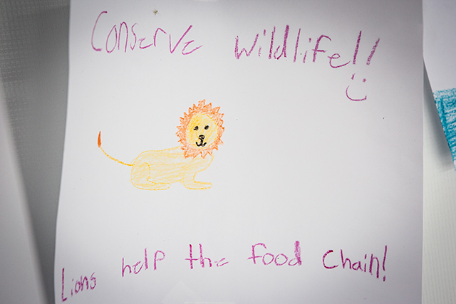 Image of a kid's drawing of a lion. 