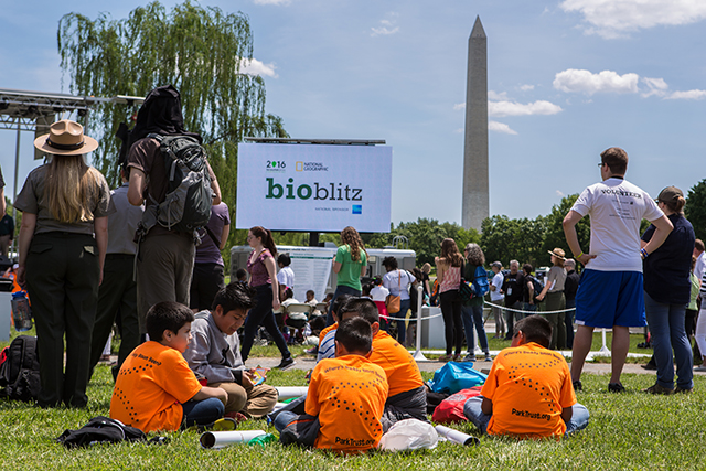 BioBlitz event near the Washington Monument. 