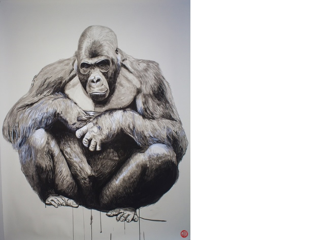 Aphoristic Extinctions: 800 Pound Gorilla by Jon Goldman, 2015, ink on paper.