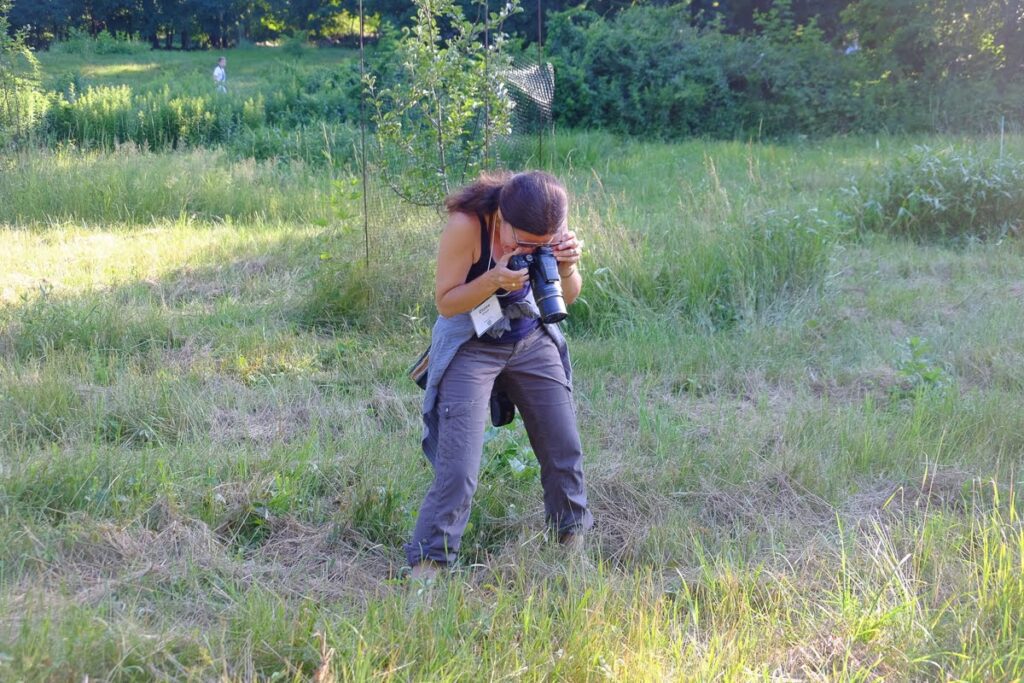 Photographer in a field