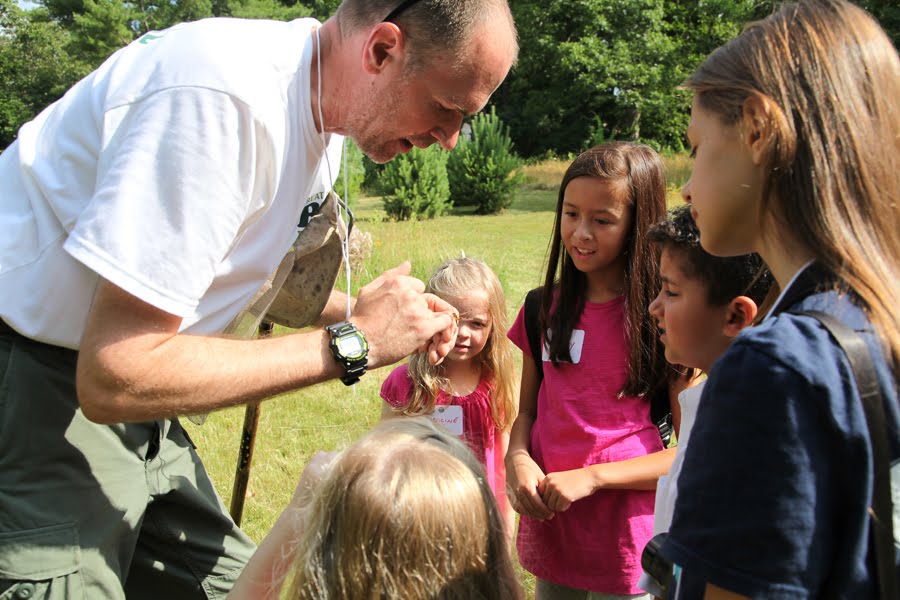 Teacher showing students an organism