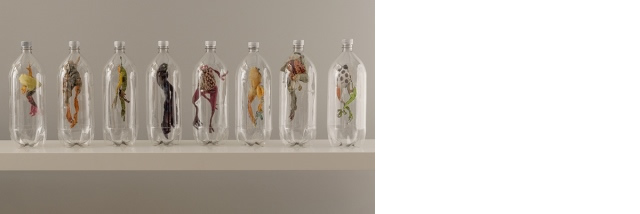 Toxic Habits by Jennifer Kim Sohn, 2010, soda bottles, cotton remnants.