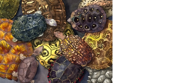 Carapace Cornucopia by JM Landin, 2014, watercolor and ink on paper.