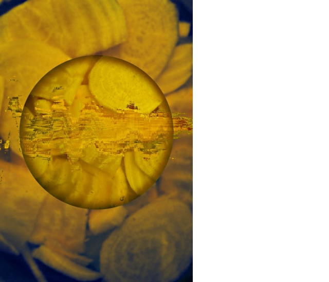 Microbial Selfie: Yellow Beet Kvass by Leila Nadir and Cary Peppermint, 2015, digital print.